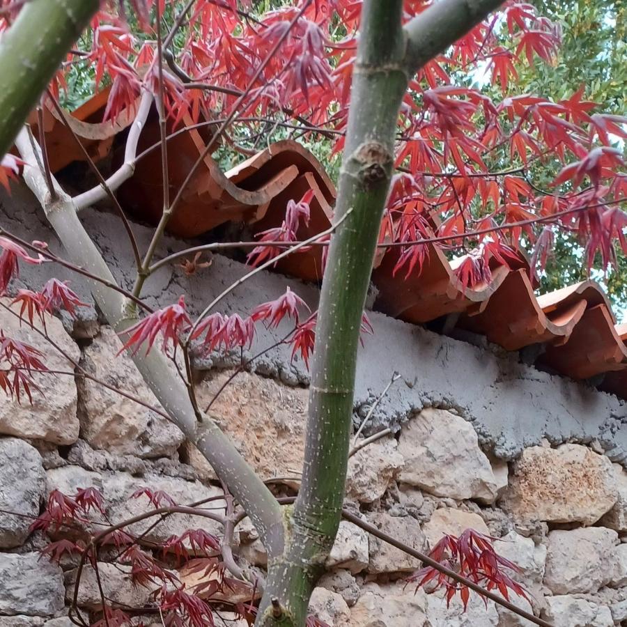 Macaza location Bien-être Thairé Esterno foto